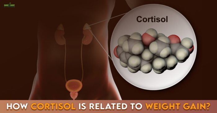 The Cortisol Weight Loss Controversy Debunked?