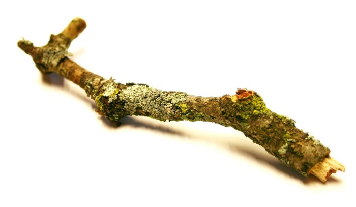 - The Journey - Peace, cowboys and a good stick... How to stick to new year resolutions