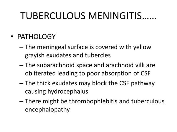 PPT - TUBERCULOUS MENINGITIS PowerPoint Presentation, free download - ID:712146 Tuberculous meningitis overview and more