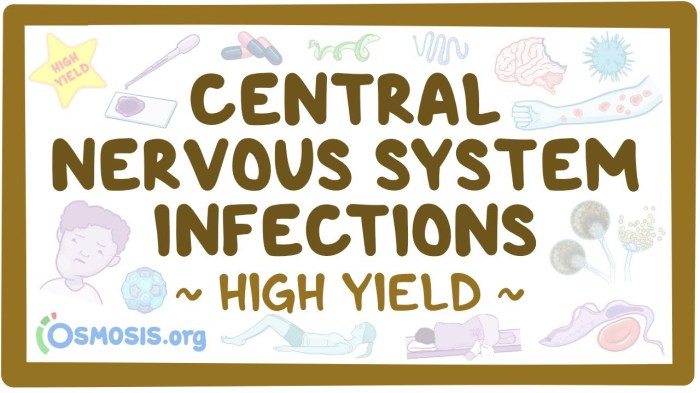 Parasitic CNS Infections A Deep Dive