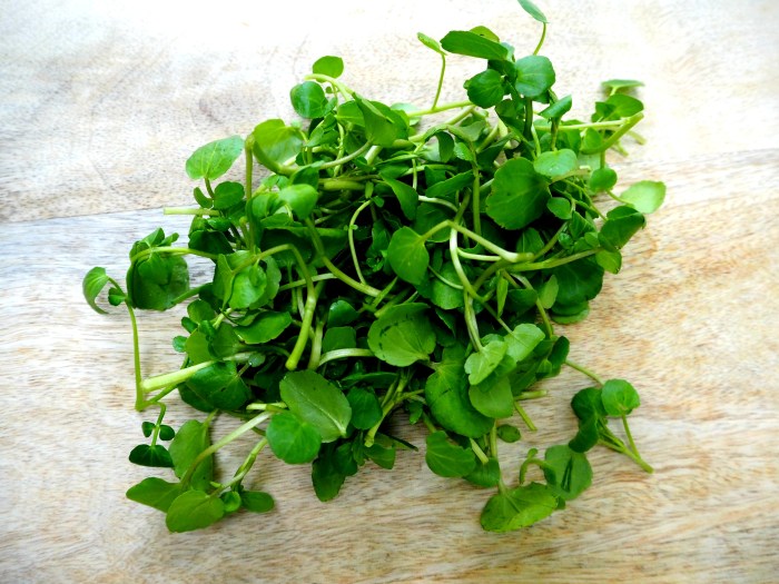 Watercress Nutrition Facts: Calories, Carbs, and Health Benefits Watercress benefits and nutrition profile