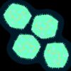 What are Coxsackievirus Infections A Deep Dive
