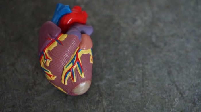 What happens to my body right after i die