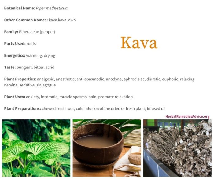 Kava Uses Risks and More