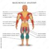 When Back Pain Is Serious Understanding the Signs