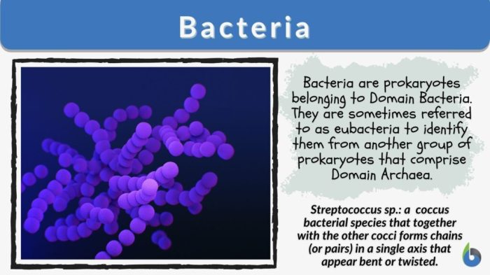 Bacterial vaginosis keeps coming back