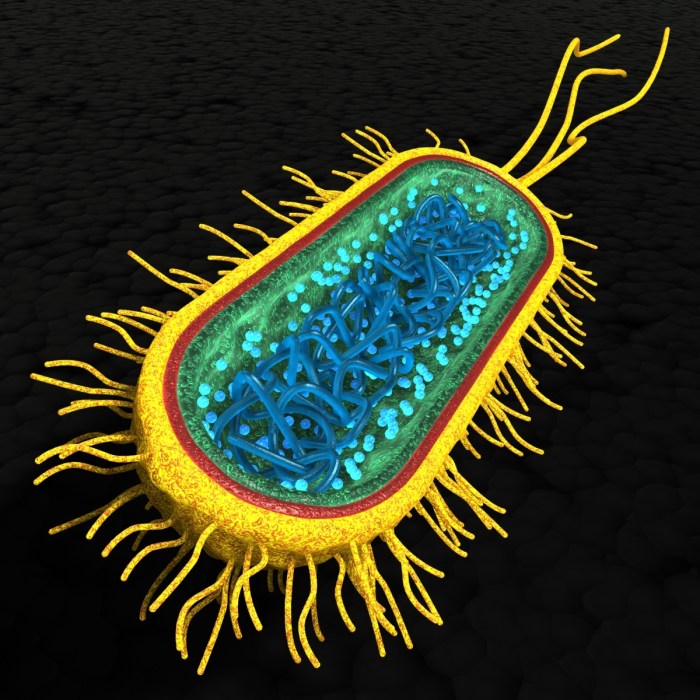 Bacterial vaginosis keeps coming back