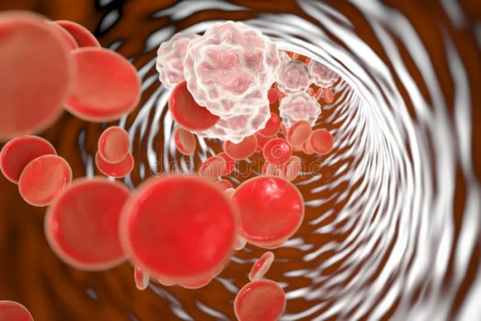 Is Blood Pressure Higher in the Morning? Exploring the Why