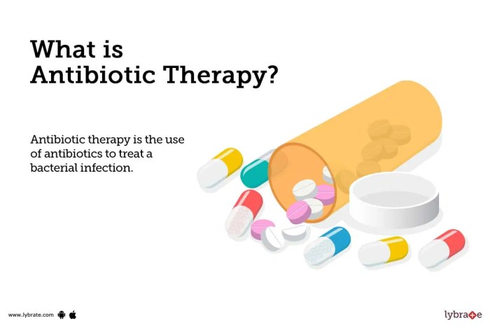 Antibiotics before dental work