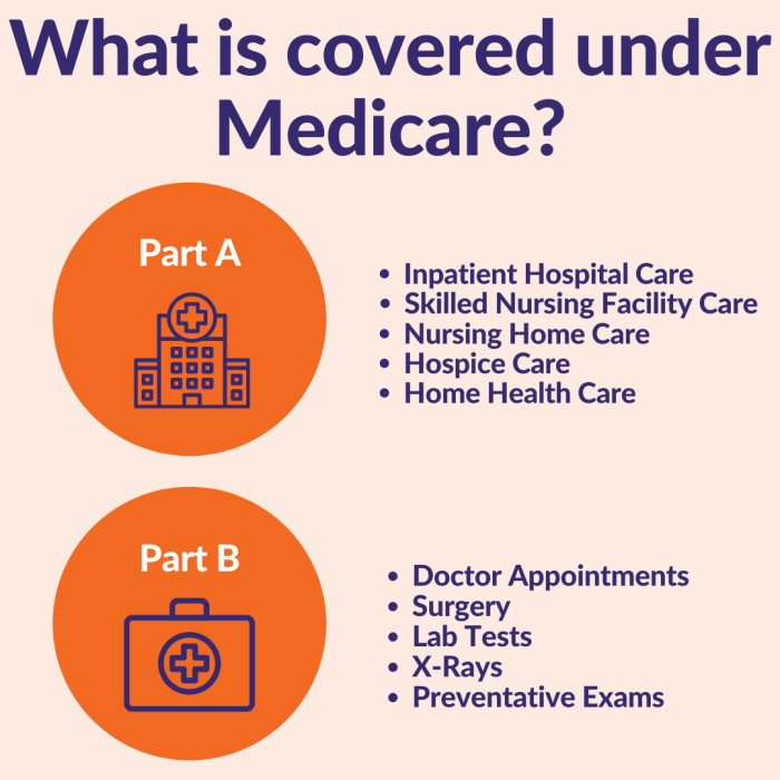 Medicare: Parts A and B Explained — The Insurance People Medicares inpatient only list
