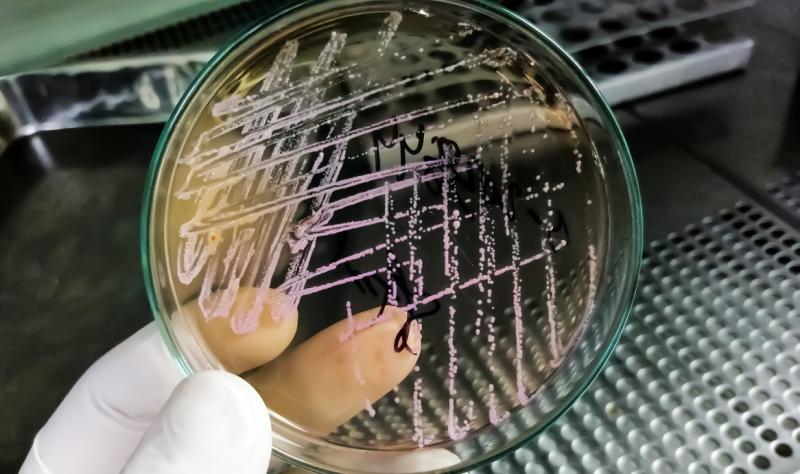 A new oral antibiotic for uti