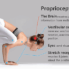 Proprioception in Multiple Sclerosis A Deep Dive