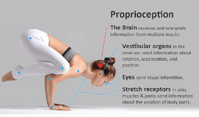 Proprioception in multiple sclerosis