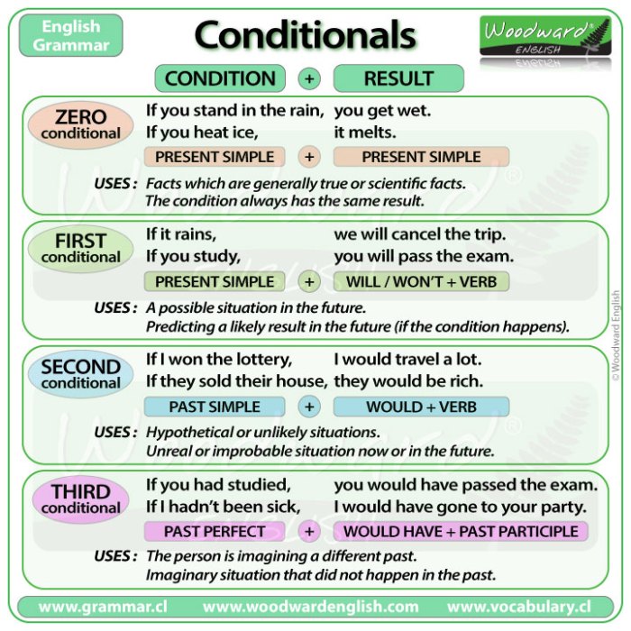 Conditional Sentences and IF clauses – Introduction | Woodward English Does milk make you taller