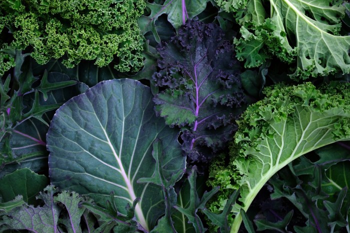 Raw or cooked kale
