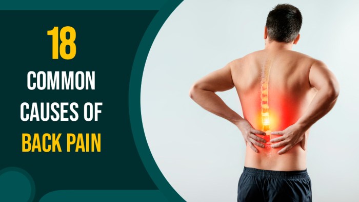 Common causes of back pain diagnosis and treatment