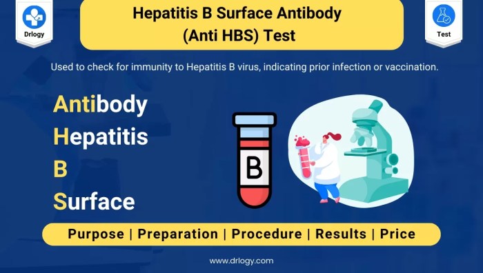 Anti Hepatitis B Surface Antigen Antibody | Bio-Rad Hbsab hepatitis b surface antibody