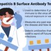 HBsAb Hepatitis B Surface Antibody A Comprehensive Guide