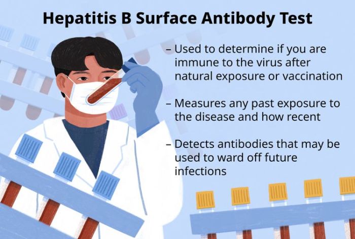 Hbsab hepatitis b surface antibody